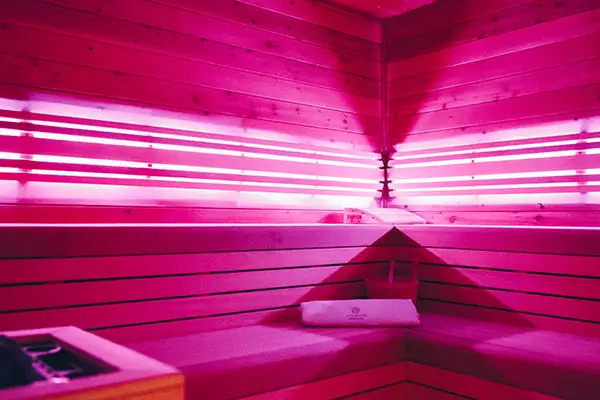 Privátní wellness Pardubice U Vinice – finská sauna